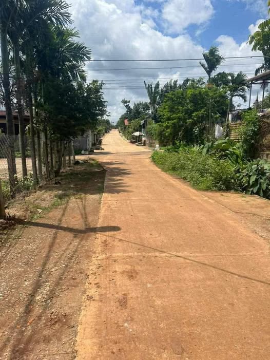 Đất nền mặt tiền Mạc Đỉnh Chi, Buôn Hồ, 399m² giá 2.1 tỷ - Cơ hội đầu tư hấp dẫn!