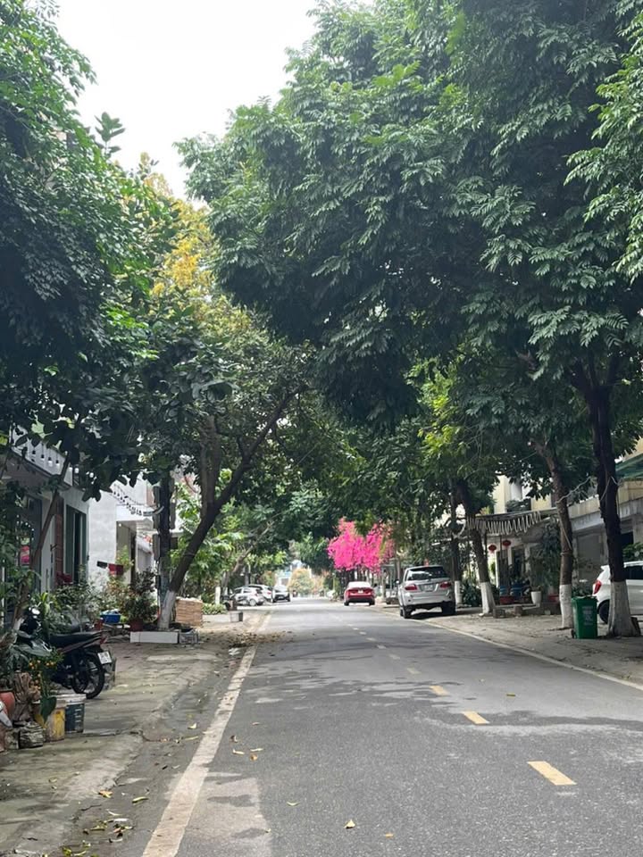 Nhà 3,5 tầng Đường An Lạc, Lào Cai - 100m² giá 5 tỷ, chỉ việc vào ở!