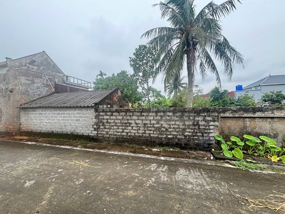 Lô đất thổ cư Sơn Đống, Tiên Minh 119.7m² giá 1 tỷ - Đường ô tô 5m, nở hậu!