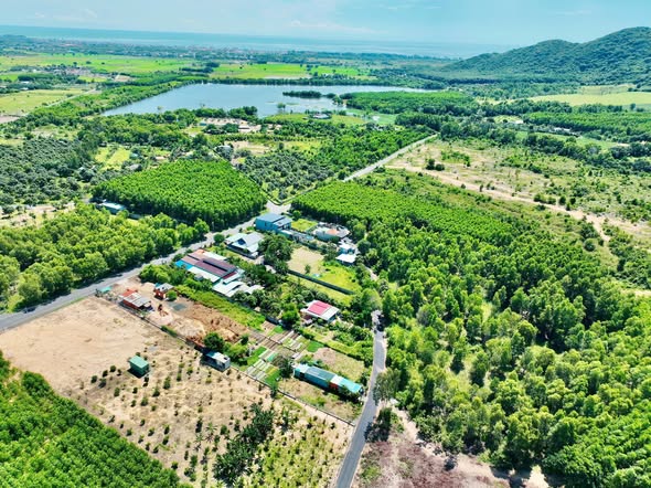 Đất nền Phước Hải - Đất Đỏ 137.2m² giá 950 triệu - Đầu tư sinh lời ngay!