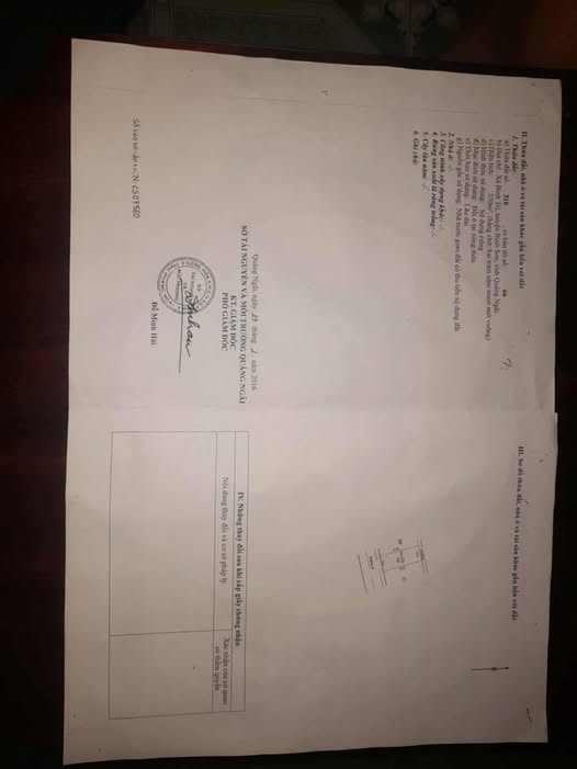 Đất nền Bình Trị, Quảng Ngãi 250m² giá 1 tỷ - Đầu tư ngay hôm nay!