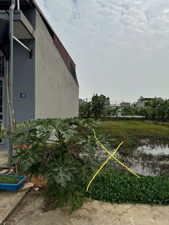 Đất Giãn Dân Hà Liễu 90m² giá 3.1 tỷ - Chính chủ bán, mặt tiền 5m!