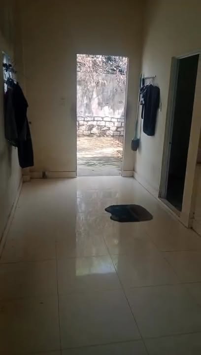 Đất nền Phường Tân Hải, Bà Rịa - Vũng Tàu 200m² - Sổ hồng chính chủ, tặng nhà cấp 4!