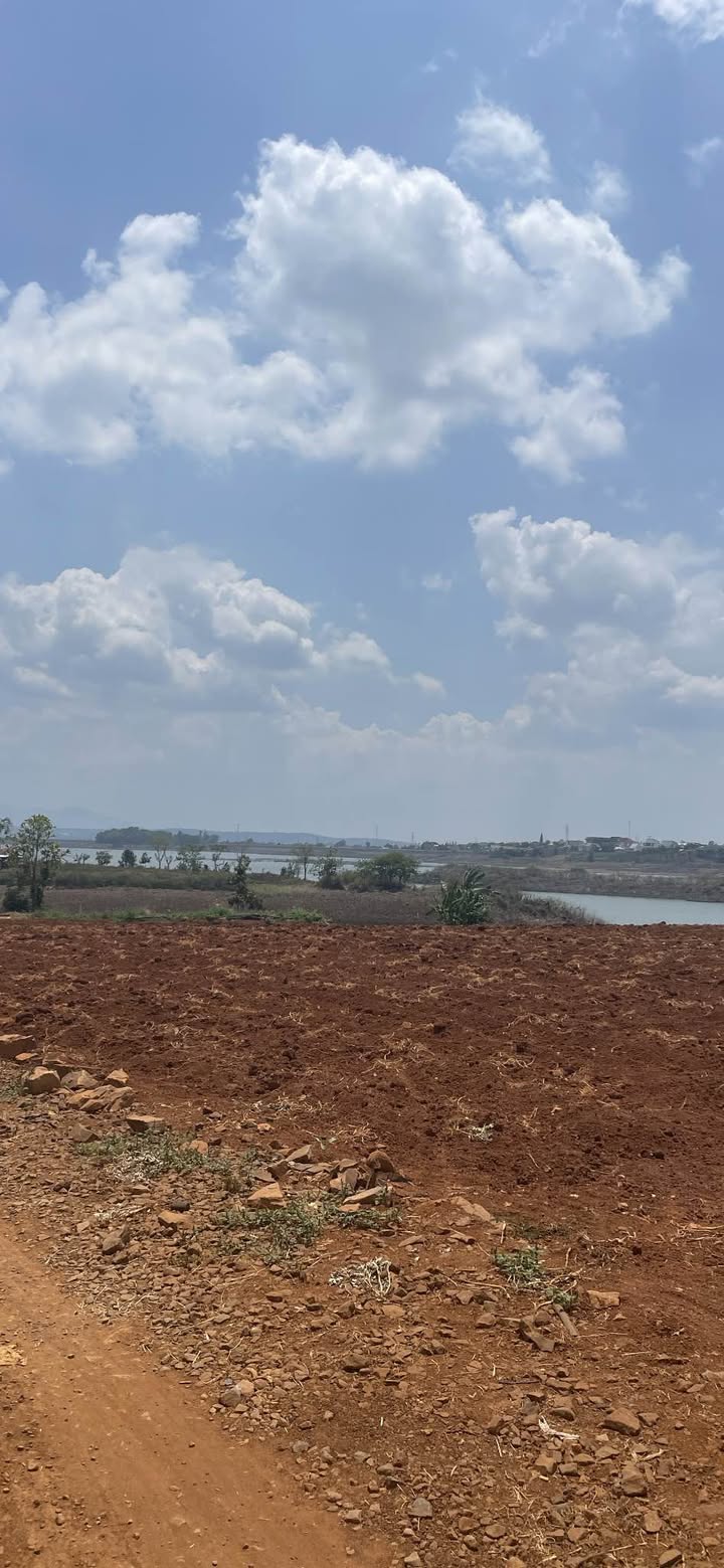 Đất thổ cư Phú Hội 135m² giá 750 triệu - Cơ hội đầu tư tốt!