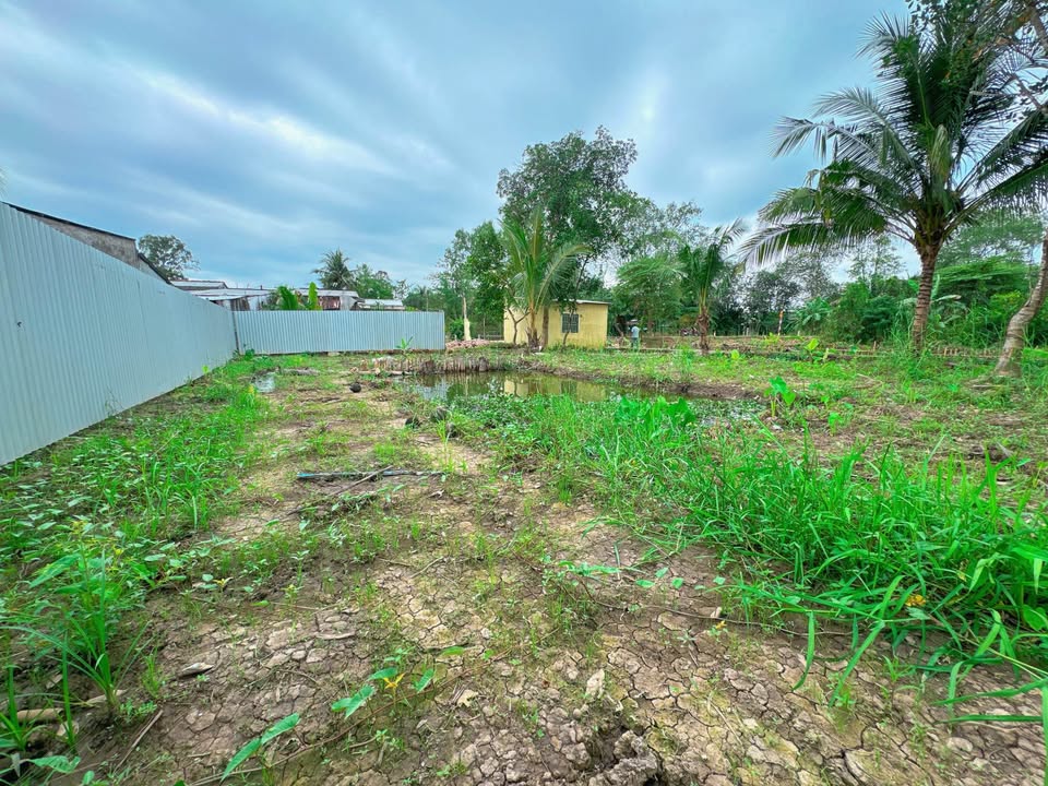 Đất thổ cư 750m² tại Ba Láng, Cái Răng chỉ 1 tỷ - Cơ hội đầu tư tốt!