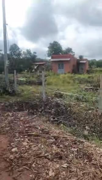 Đất thổ cư 6.000m² tại Mỹ Xuân - Ngãi Giao, Bà Rịa - Vũng Tàu - Cơ hội đầu tư hấp dẫn!