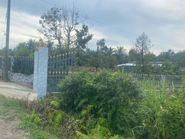 Đất thổ cư xã Bình Phước 172m² giá chỉ 220 triệu - Cần bán gấp!