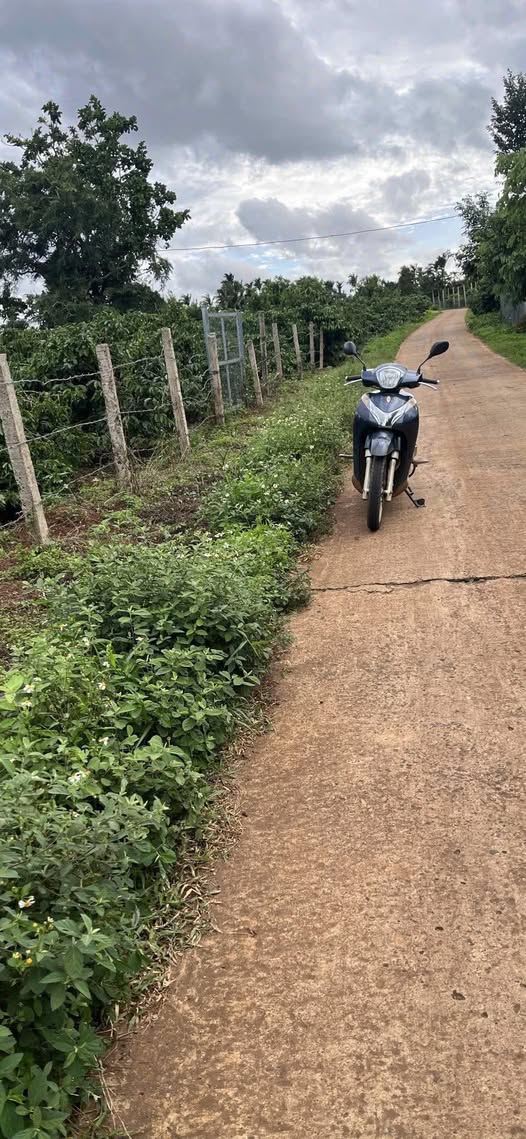 Lô đất Phú Lộc - Đắk Lắk 420m² giá chỉ 4.5 tỷ - Cơ hội đầu tư tuyệt vời!