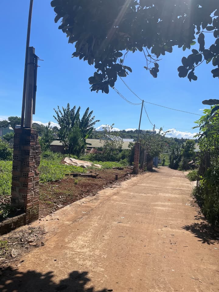 Đất nền hẻm Bùi Viện, An Phú, Pleiku - Giá từ 400 triệu - Đầu tư sinh lời!