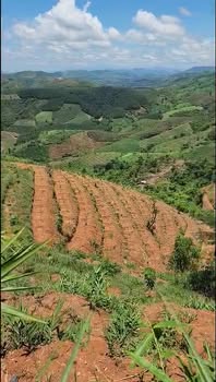 Đất Farm 15ha tại Đăk Blà, Kon Tum - Giá chỉ 1.8 tỷ, thương lượng tốt!