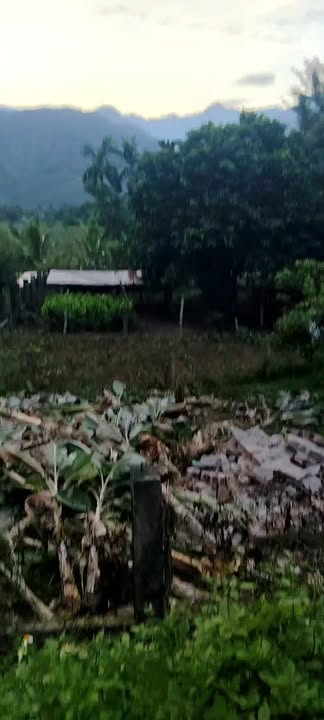 Đất nền mặt tiền đường Hòa Bắc 360m² - Giá thỏa thuận hấp dẫn!