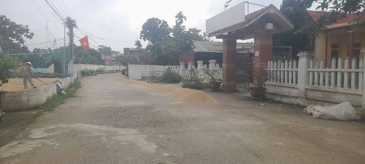 Đất thổ cư 327m² xã Định Hòa, Yên Định - Giá siêu hấp dẫn chỉ từ 6xx triệu!