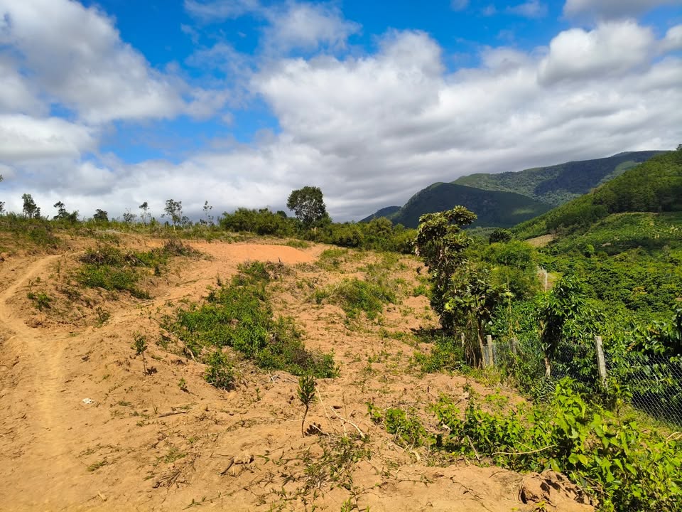 Đất nền 1 hecta tại xã Hra, giá 950 triệu - Sổ đỏ chính chủ!