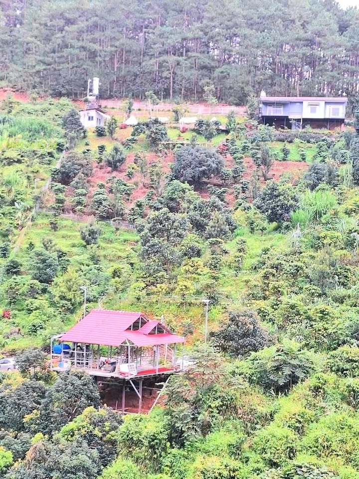 Đất nông nghiệp Mê Linh 3870m² giá 2.9 tỷ - View đồi thông tuyệt đẹp!