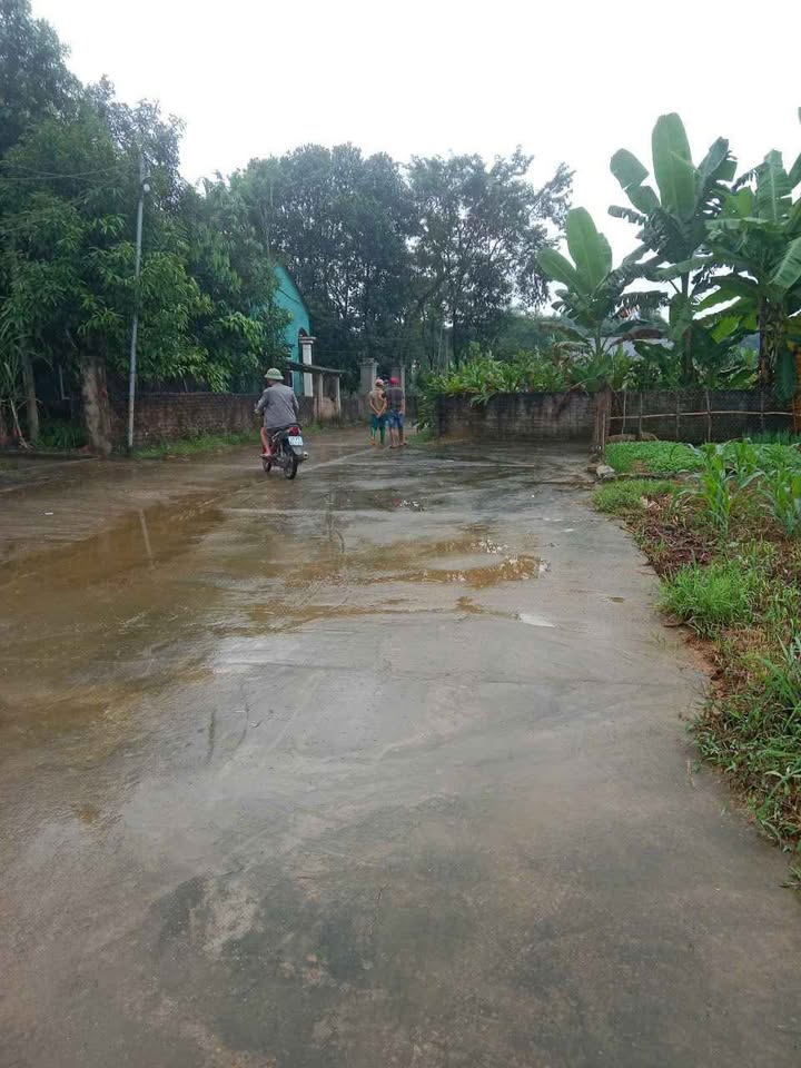 Đất nền Quy Mông, Trấn Yên, Yên Bái 135m² giá 200 triệu - Đầu tư sinh lời ngay!