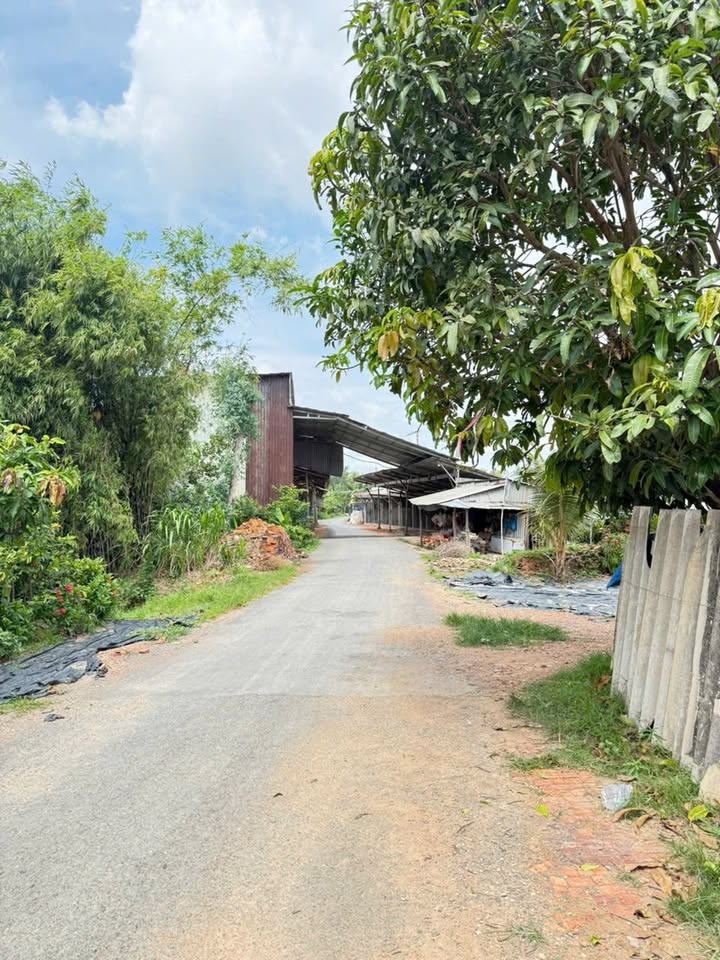 Đất nền thổ cư xã An Châu 500m² giá 1 tỷ - Sổ hồng chính chủ