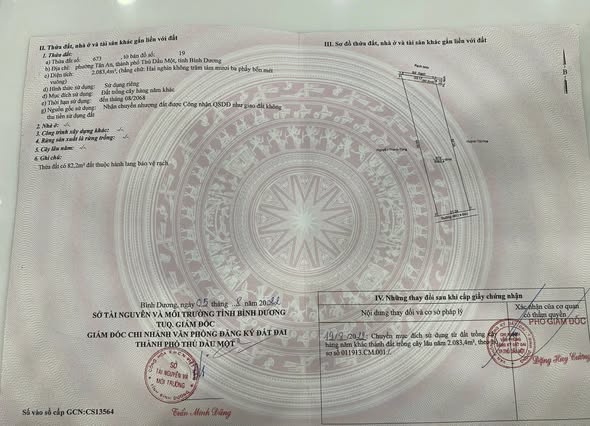 Đất vườn Tân An, Thủ Dầu Một 6000m² giá chỉ 21 tỷ - Cần bán gấp!