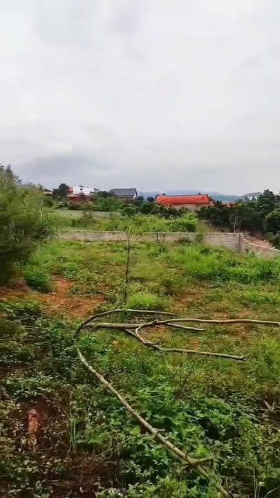 Đất nền bán tại Bắc Giang 960m² giá 1.9 tỷ - Cơ hội đầu tư hấp dẫn!