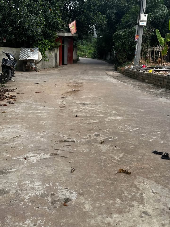 Đất thổ cư Nội Hoàng, Yên Dũng 90m² giá 2.6 tỷ - Đầu tư sinh lời ngay!