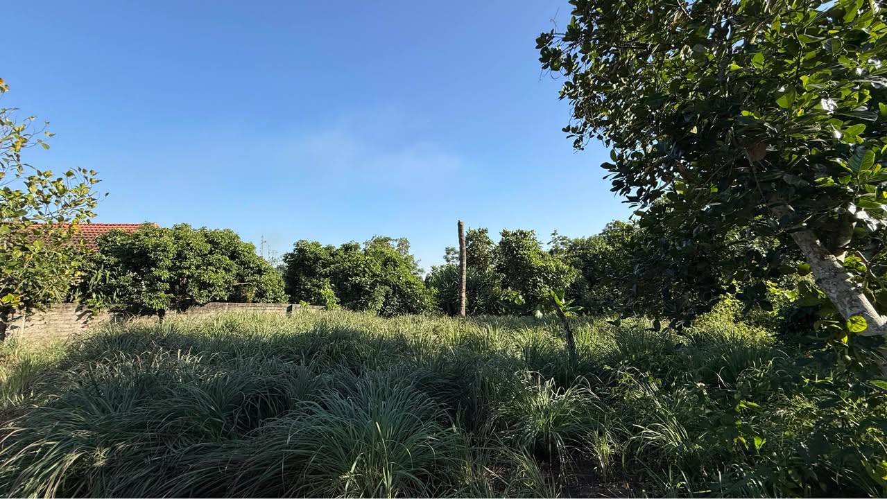 Đất thổ cư 400m² tại Đồng Vương, Yên Thế, Bắc Giang - Giá 1.6 tỷ, sở hữu ngay!