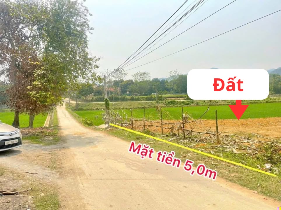 Đất xã An Nghĩa, Hạ Hòa, Phú Thọ 129.3m² giá chỉ 500 triệu - Sổ hồng chính chủ!