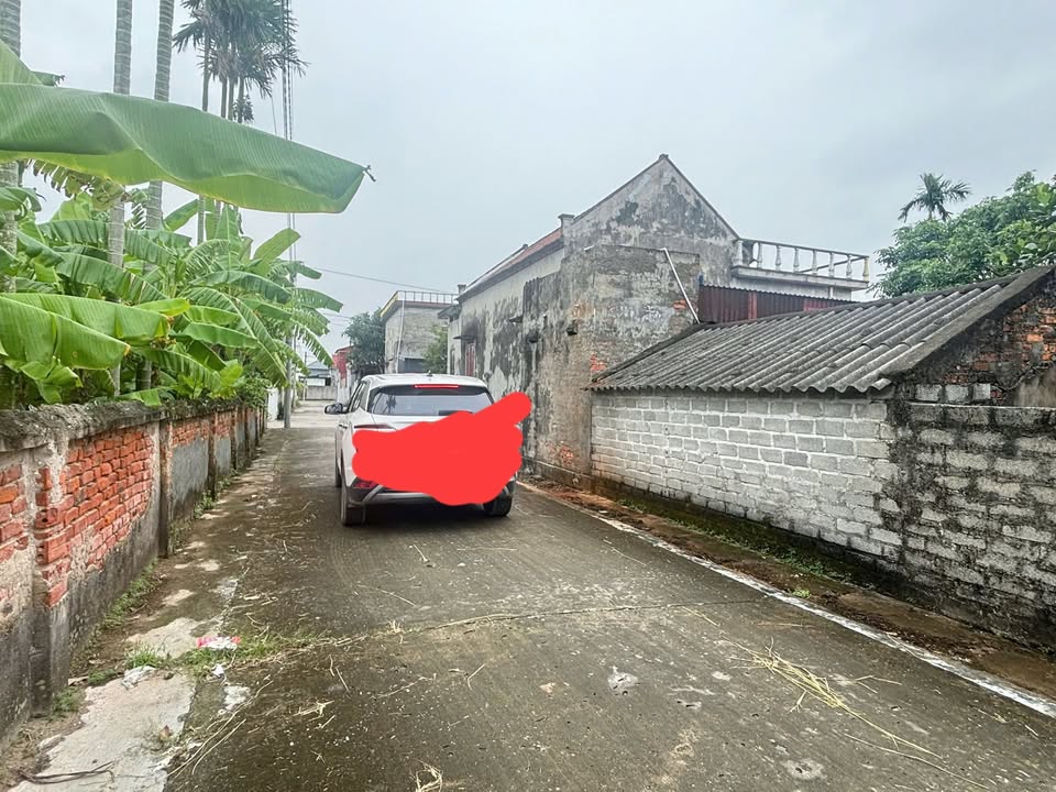 Đất Tiên Thắng 119m² giá 1.1 tỷ - Đường rộng thông thoáng!