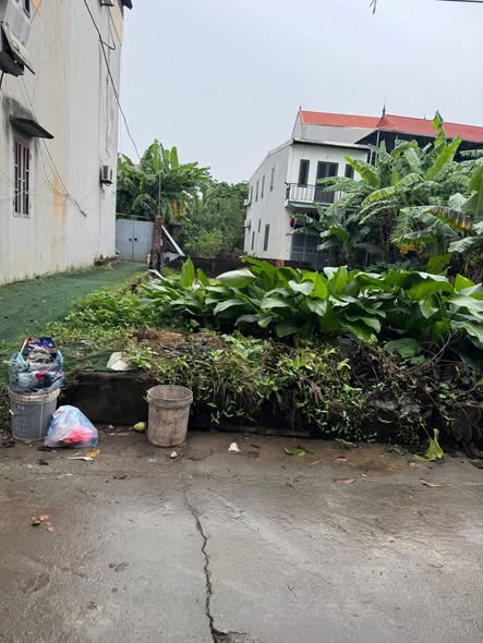 Đất nền Đan Phượng 67m² giá tốt - Lô góc ô tô đỗ cửa ngay chợ!