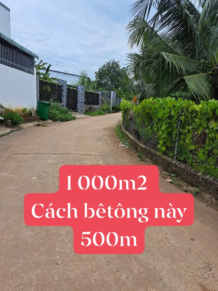 Đất vườn 3600m² giá chỉ 1.25 tỷ - Mặt tiền đường hiện hữu tại Vĩnh Tân!
