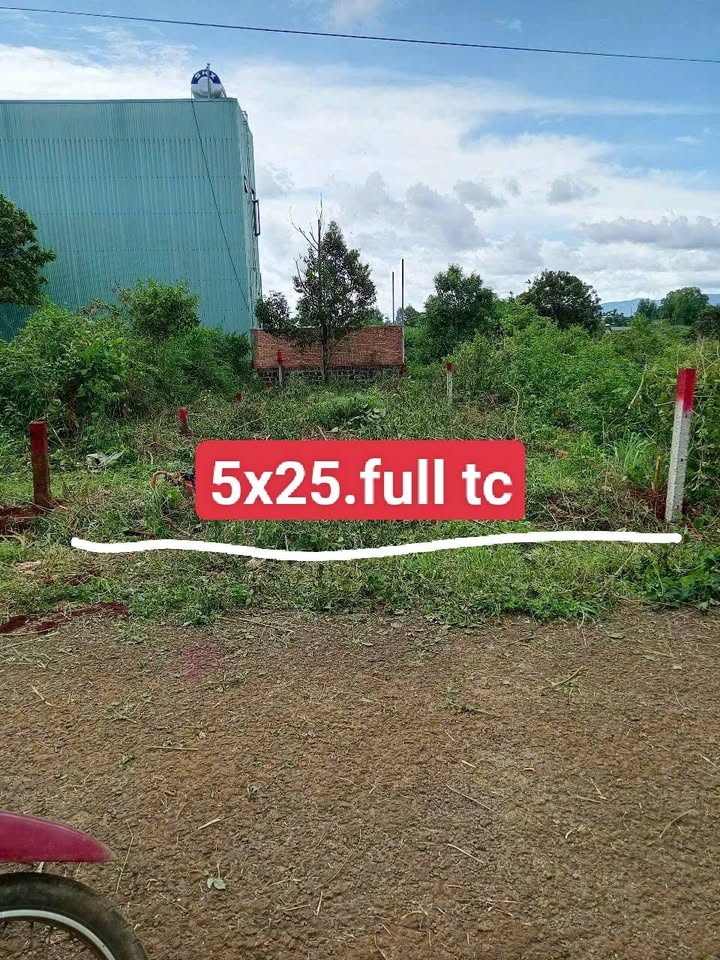 Đất nền hẻm Tô Hiệu, Pleiku 125m² - Đầu tư sinh lời nhanh!