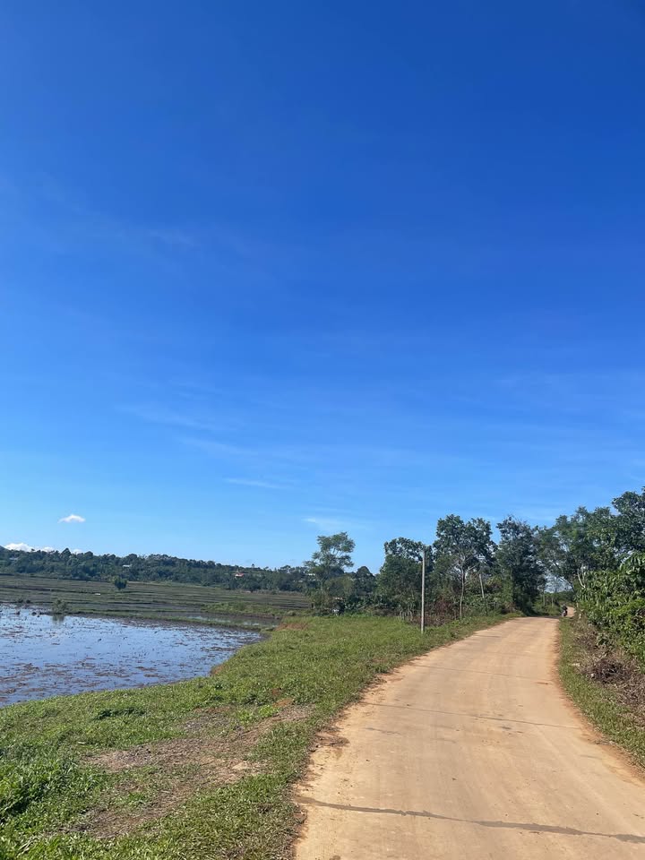 Đất nền Lý Chính Thắng, An Phú, 620m² giá chỉ 700 triệu - Cơ hội đầu tư tuyệt vời!