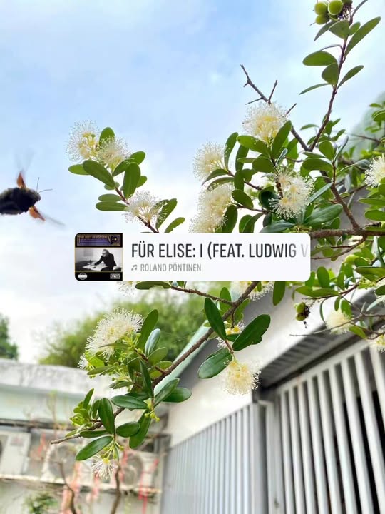 Phòng trọ cho thuê tại Vĩnh Thạnh, Nha Trang - Không gian sống lý tưởng!