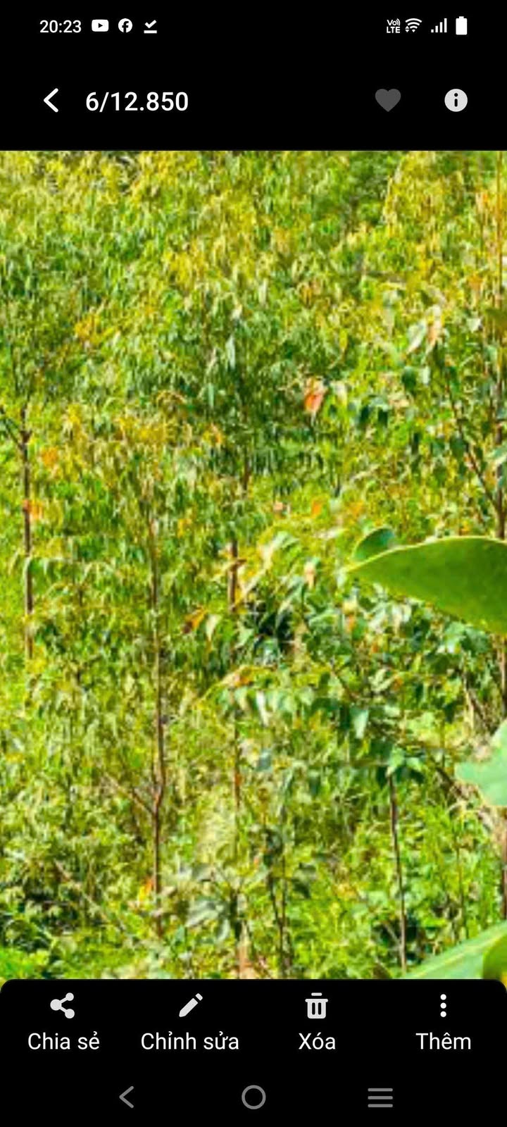 Lô rẫy 27.000m² tại Đăk Rve, Kon Tum - Giá chỉ 210 triệu, cơ hội tuyệt vời!