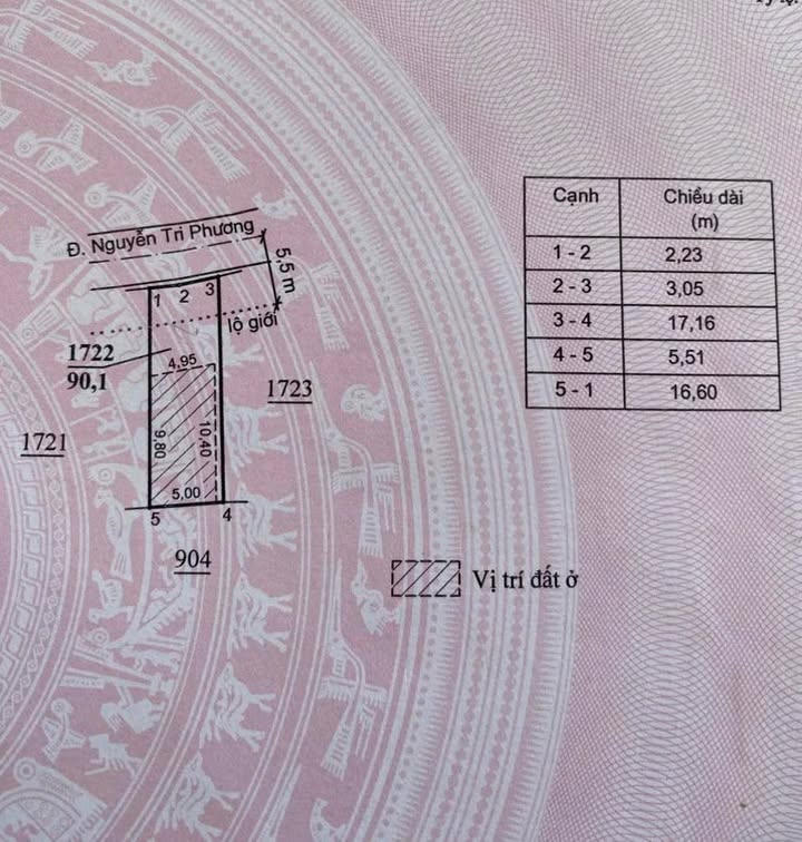 Đất mặt tiền đường Nguyễn Tri Phương, Đức Trọng, 90,1m² giá 1,8 tỷ - Thương lượng ngay!
