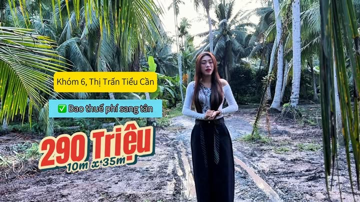 Đất nền giá rẻ Tiểu Cần 365m² chỉ 290 triệu - Đầu tư sinh lời ngay!