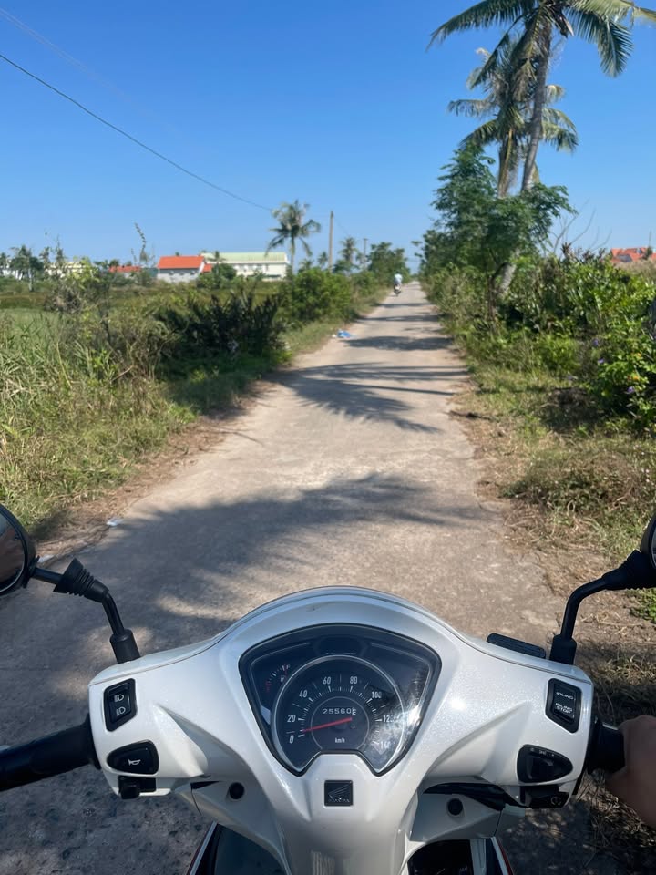 Đất nền Tiền Phong, Quảng Yên 300m² - Cơ hội đầu tư không thể bỏ lỡ!