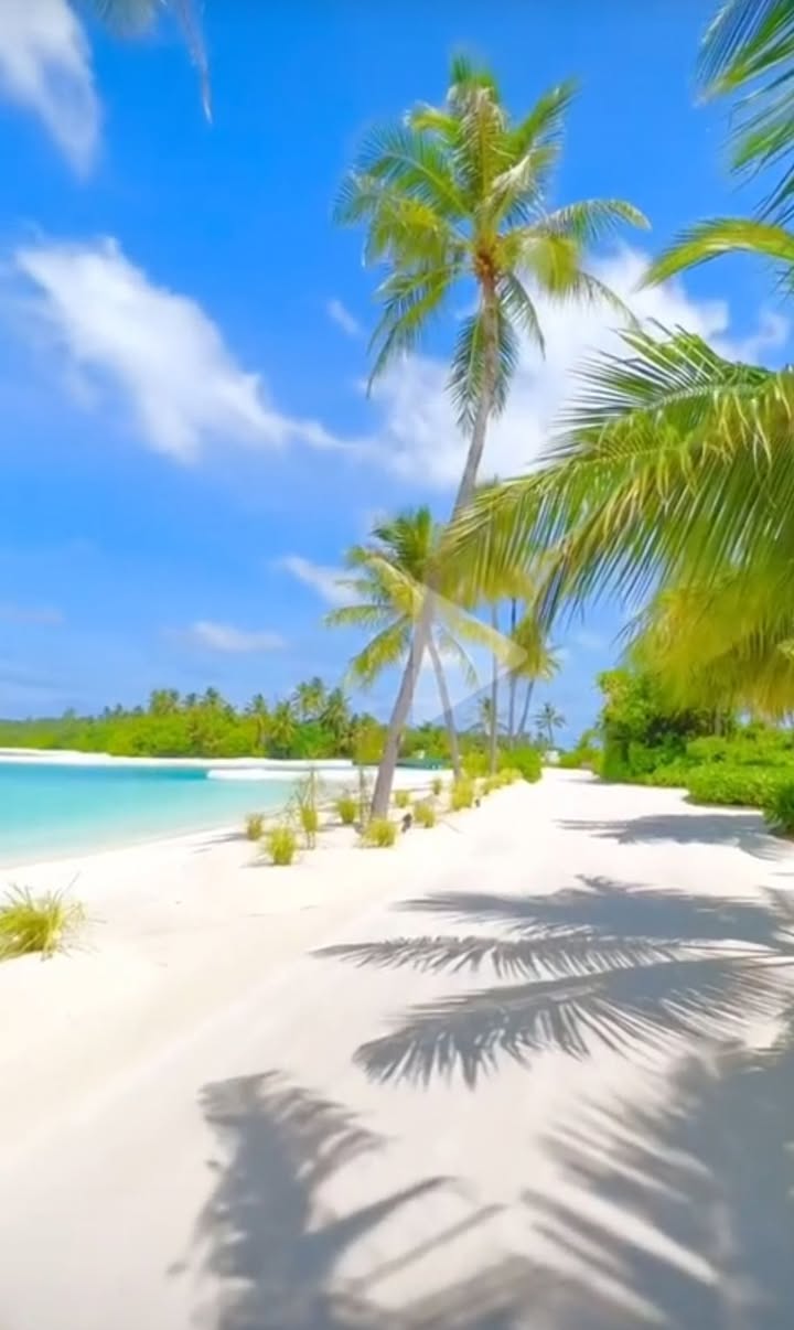 Lô đất đẹp tại hồ làng Tường, Văn An, Chí Linh - 2 tỷ - Đầu tư lý tưởng!