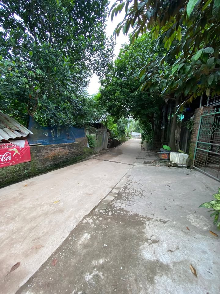 Nhà 2 Tầng Sơn Cẩm Thái Nguyên 150m² giá 2 tỷ - Không Lụt, Ô Tô Đỗ Cửa!