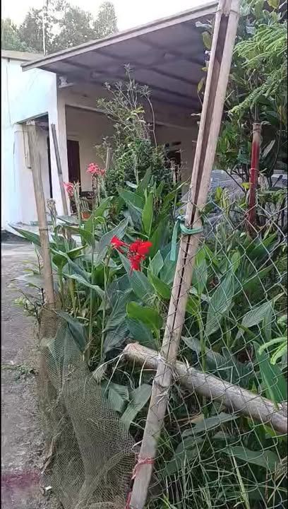 Đất nền Thịnh Đán 200m² giá 1.3 tỷ - Sổ đỏ chính chủ, đầu tư sinh lời!