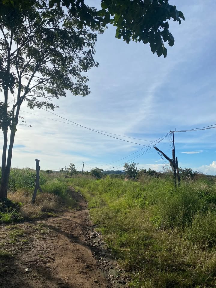 Đất nền 3.4ha tại xã Ia Le, Gia Lai giá chỉ 500 triệu - Cơ hội đầu tư hấp dẫn!