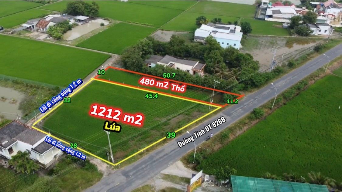 Đất thổ cư 480m² tại Long Hựu, Cần Đước - Giá chỉ 3.84 tỷ VND, cơ hội đầu tư hấp dẫn!