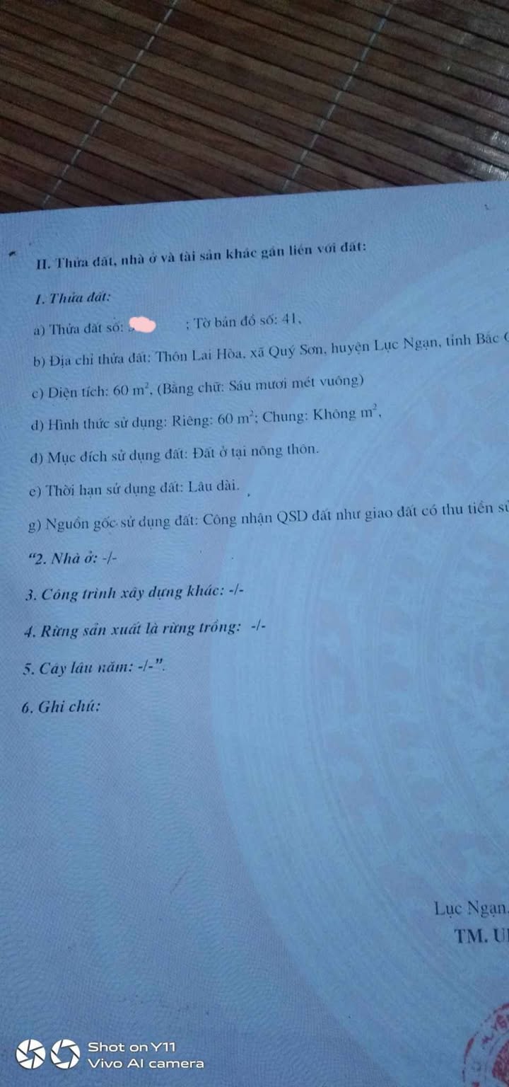 Đất nền Quý Sơn Lục Ngạn 125m² giá 1.05 tỷ - Sổ đỏ chính chủ sang tên ngay!