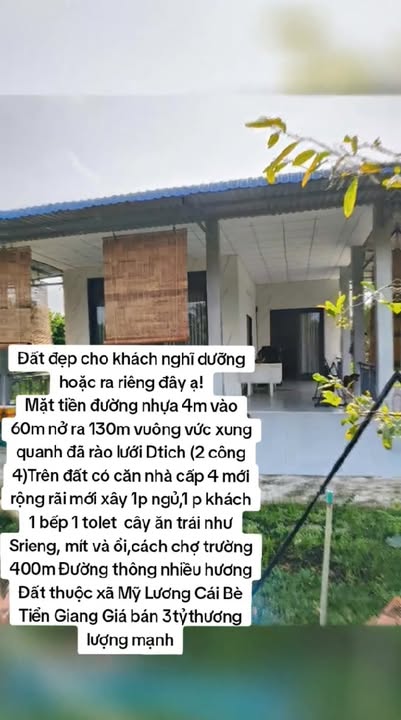 Đất Farm An Hữu Cái Bè 2426m² giá 3 tỷ - Pháp lý rõ ràng, sẵn sàng hưởng lợi!