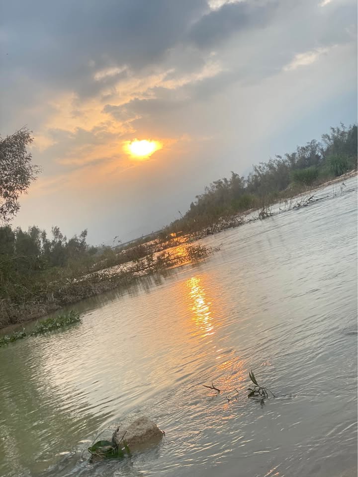 Đất thổ cư thôn Bình Lâm, xã Phước Hòa 80m² giá đầu tư - Cơ hội hiếm có!