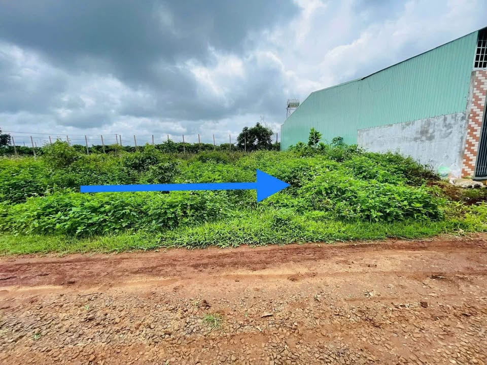 Lô đất hẻm 91 Hà Huy Tập, Pleiku 100m² giá 399 triệu - Cơ hội đầu tư nhanh!