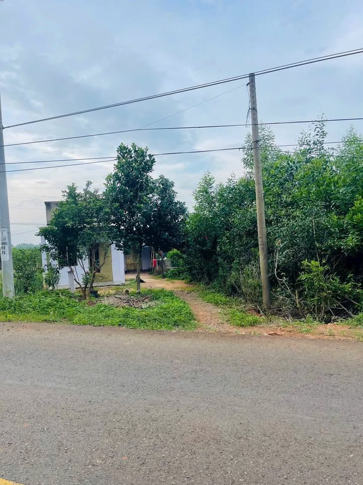 Nhà cấp 4 mặt tiền đường chính Tập Đoàn 7, 172.5m² giá 1.69 tỷ - Cơ hội đầu tư tuyệt vời!