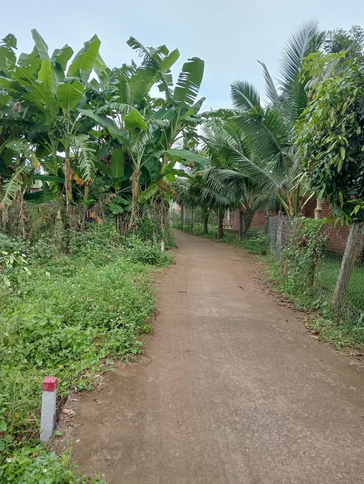 Đất nền Kim Long, Châu Đức 390m² giá 1.3 tỷ - Vị trí đẹp, tiện ích đầy đủ!