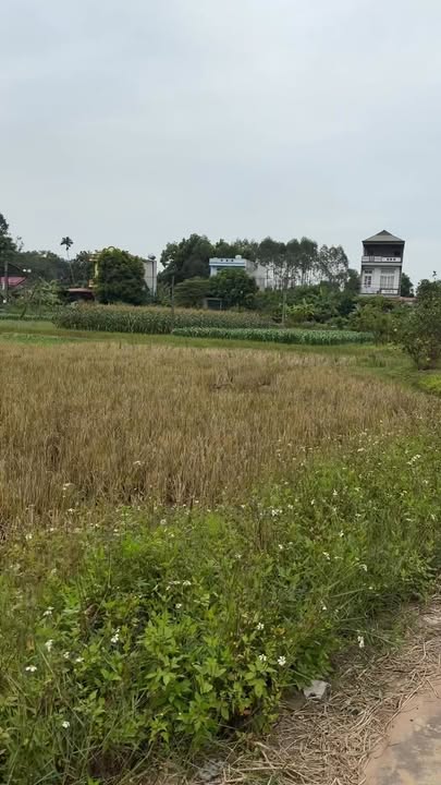 Đất nền thôn Tân Lập, xã Nhã Nam, 100m² giá 999 triệu - Đầu tư sinh lời ngay!