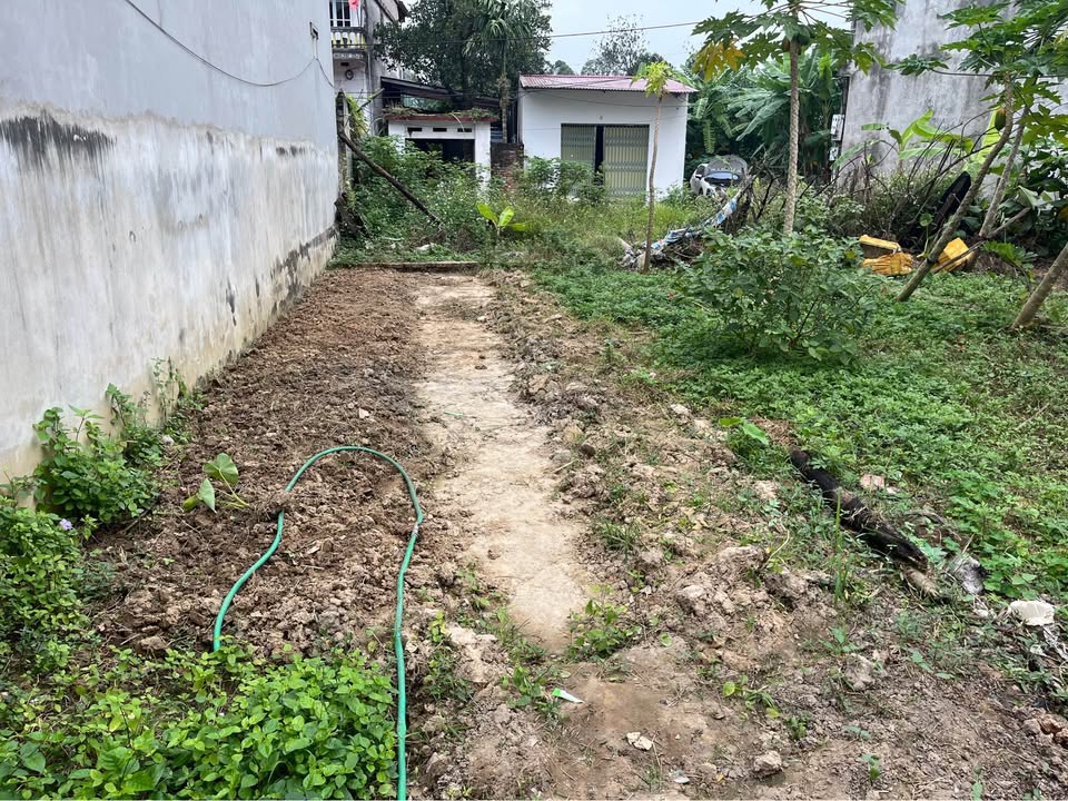 Đất thổ cư 81m² tại Ấp Đông Côi, Bắc Ninh - Giá chỉ 2.06 tỷ, cơ hội đầu tư tuyệt vời!