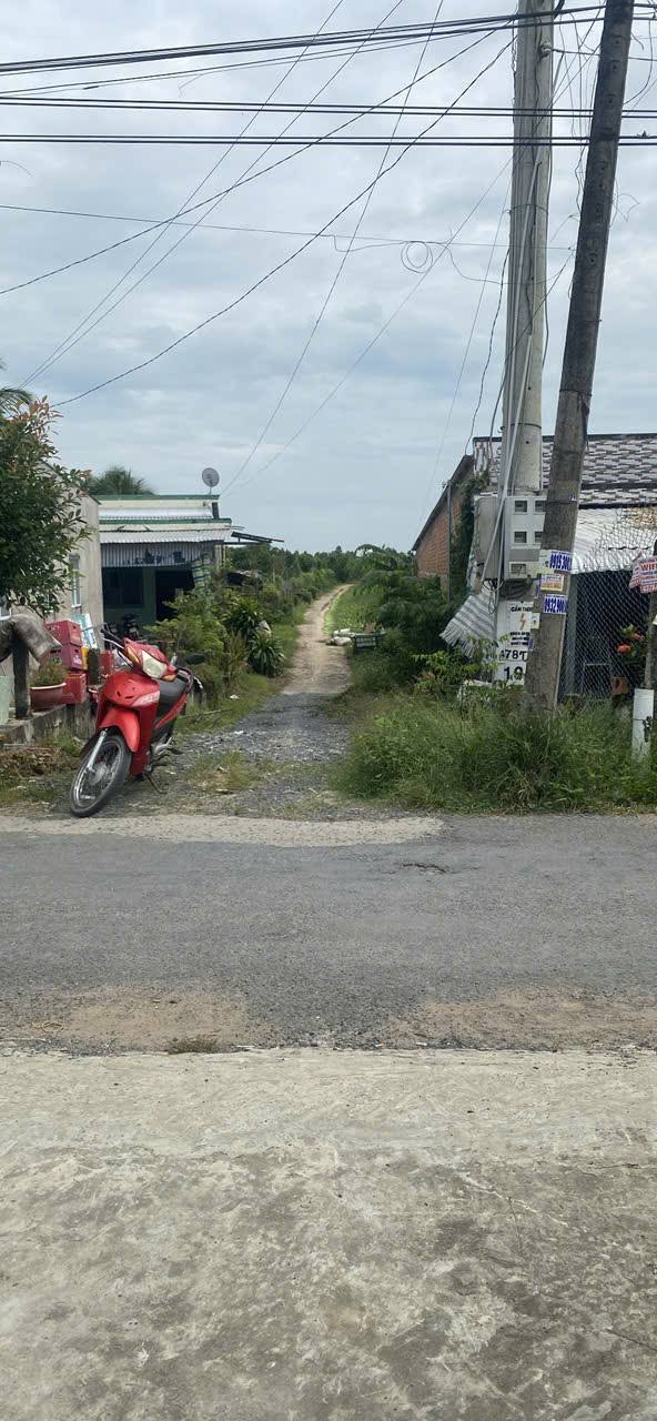 Farm sinh thái tại Tháp Mười, Đồng Tháp 90.000m² giá 3,5 tỷ - Cơ hội đầu tư hấp dẫn!