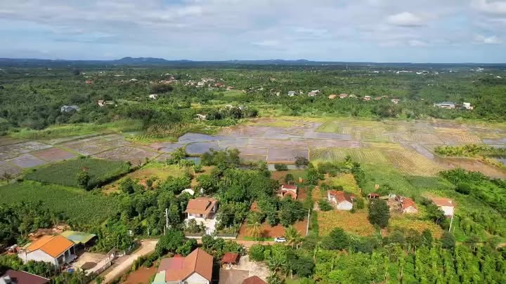 Đất Ea Ning, Cư Kuin 2,7 sào giá 1,459 tỷ - Sở hữu ngay view cánh đồng độc đáo!